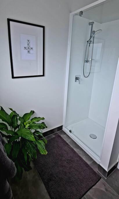 Apartment 4 - Haddin Court - Chic Ny Loft Style Blenheim Exterior foto